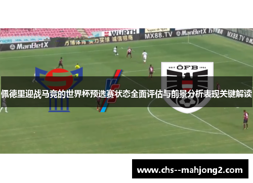 佩德里迎战马竞的世界杯预选赛状态全面评估与前景分析表现关键解读