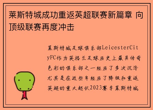 莱斯特城成功重返英超联赛新篇章 向顶级联赛再度冲击
